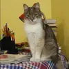 Отзыв от Наиля Еремеева